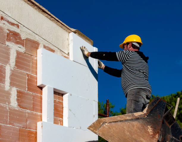 Best Commercial Insulation in Mammoth Spring, AR
