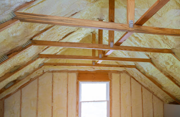 Professional Insulation Contractor in Mammoth Spring, AR