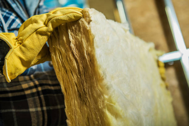 Best Geographic-Specific Insulation Services in Mammoth Spring, AR