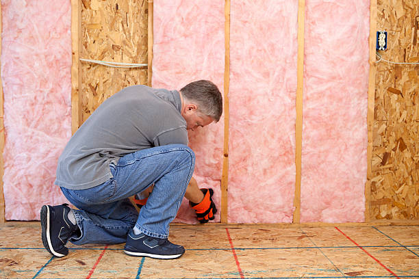 Best Spray Foam Insulation in Mammoth Spring, AR